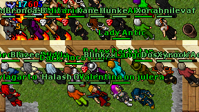 Blinkzx on screen