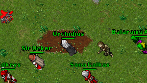 Orchidius on screen