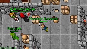 Master Gossek on screen