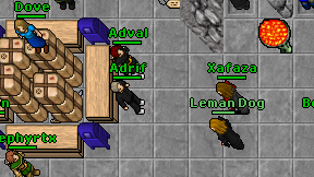 Adrif on screen