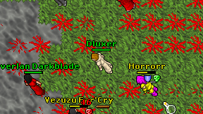 Dluxer on screen