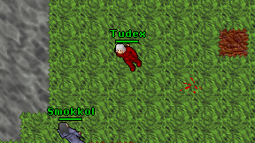 Tudex on screen