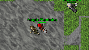 Magic Flavinha on screen