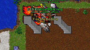 Torba Bobra on screen