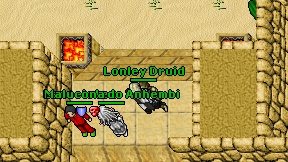 Lonley Druid on screen