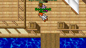 Segofek on screen