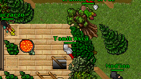 Tamik Asca on screen