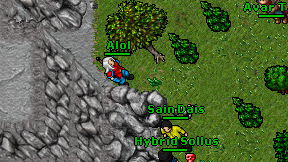 Alol on screen