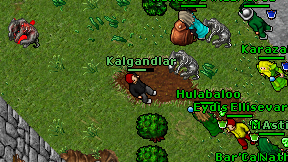 Kalgandlar on screen