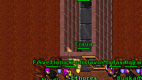 Eiaua on screen