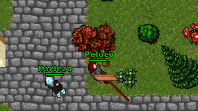 Peloco on screen