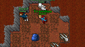 Transhos on screen