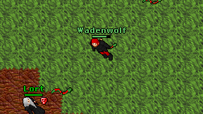 Wadenwolf on screen