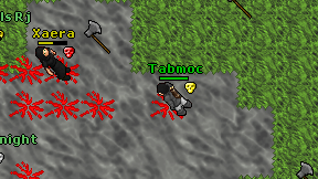 Tabmoc on screen