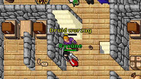 Druid wurzag on screen