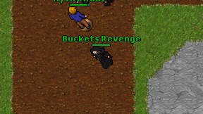 Buckets Revenge on screen