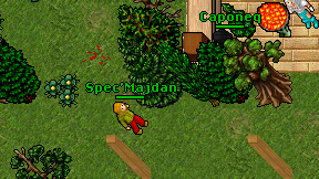 Spec'Majdan on screen