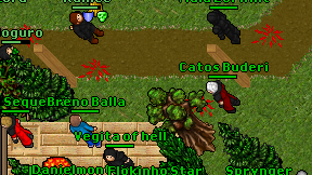 Catos Buderi on screen