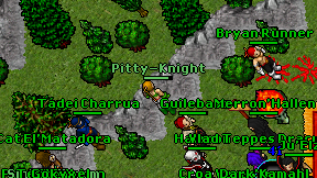 Pitty-Knight on screen