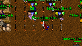 Pizzashoarma on screen