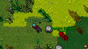Daylen Made on screen