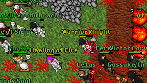 Warrior Khight on screen