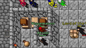 Viggemanen on screen