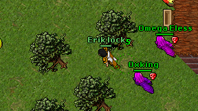 Erik locko on screen