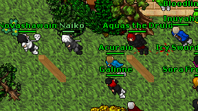 Acuraio on screen