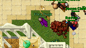 Flea funk on screen
