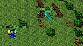 Muffmed on screen