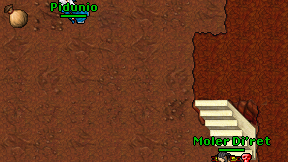 Pidunio on screen