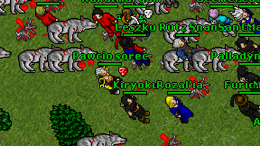 Pawcio sorec on screen