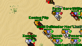 Koning Flip on screen