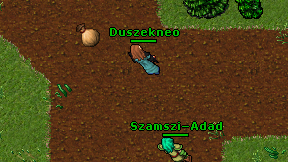 Duszekneo on screen