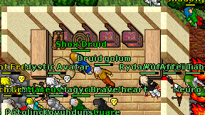 Shox'Druid on screen