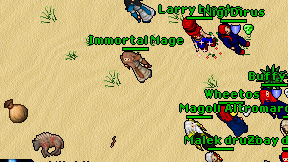 Immortal Mage on screen