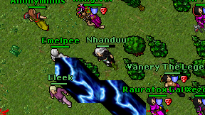 Nhanduu on screen
