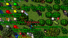 Raffix on screen