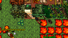 Niewypal on screen
