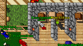 Koscianiak on screen