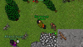 Siryous on screen