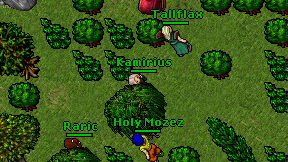 Kamirius on screen