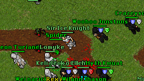 Sir Ice Knight on screen