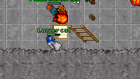 Lazzer cat on screen