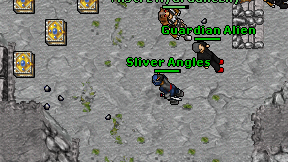 Sliver Angles on screen