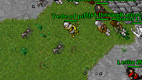 Tede of pira on screen