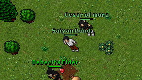 Saiyan Rond on screen
