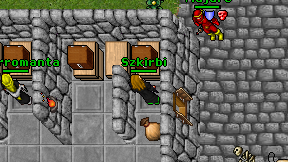 Szkirbi on screen