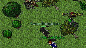 Swordknighter on screen
